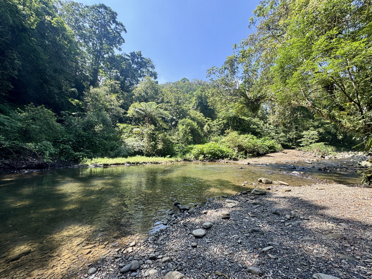 【新北坪林旅遊】坪林茶鄉一日遊 2025:雙北世外桃源,隱藏版秘境步道、茶葉博物館、老街、美食,慢活一整天 6958 【新北坪林旅遊】坪林茶鄉一日遊 2025:雙北世外桃源,隱藏版秘境步道、茶葉博物館、老街、美食,慢活一整天 6958