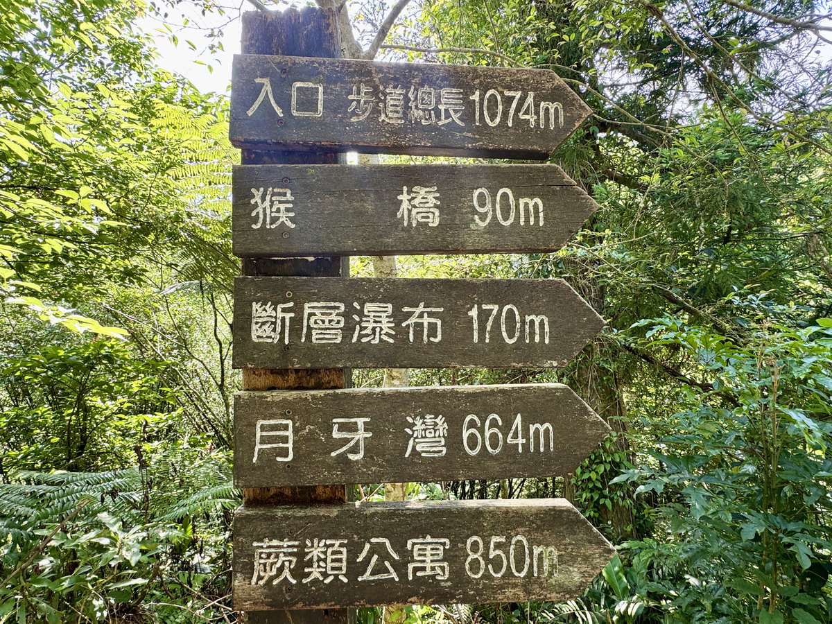 【新北坪林旅遊】坪林茶鄉一日遊 2025:雙北世外桃源,隱藏版秘境步道、茶葉博物館、老街、美食,慢活一整天 6958 【新北坪林旅遊】坪林茶鄉一日遊 2025:雙北世外桃源,隱藏版秘境步道、茶葉博物館、老街、美食,慢活一整天 6958