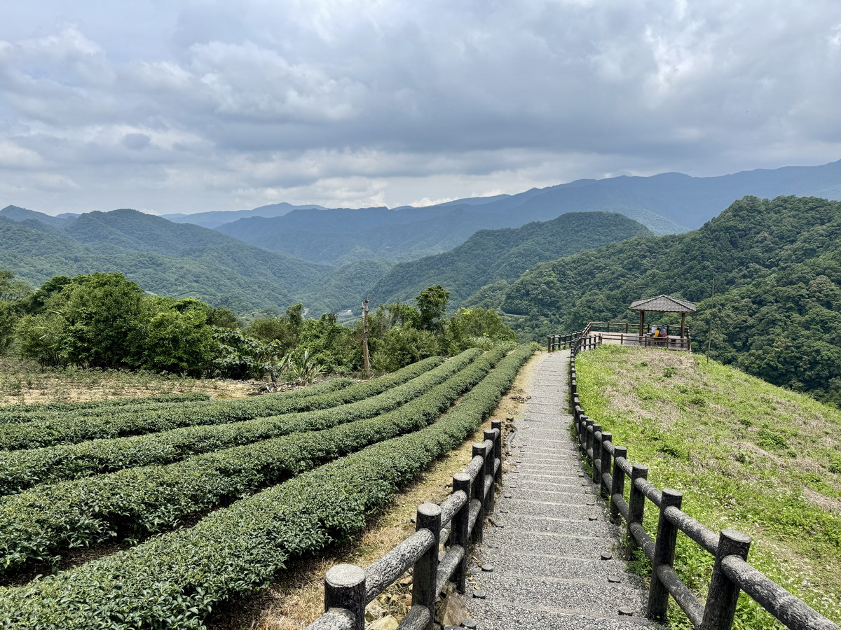 【新北坪林旅遊】坪林茶業博物館：坪林是台灣重要茶鄉，帶領進入茶葉的世界 1730 @貓大爺