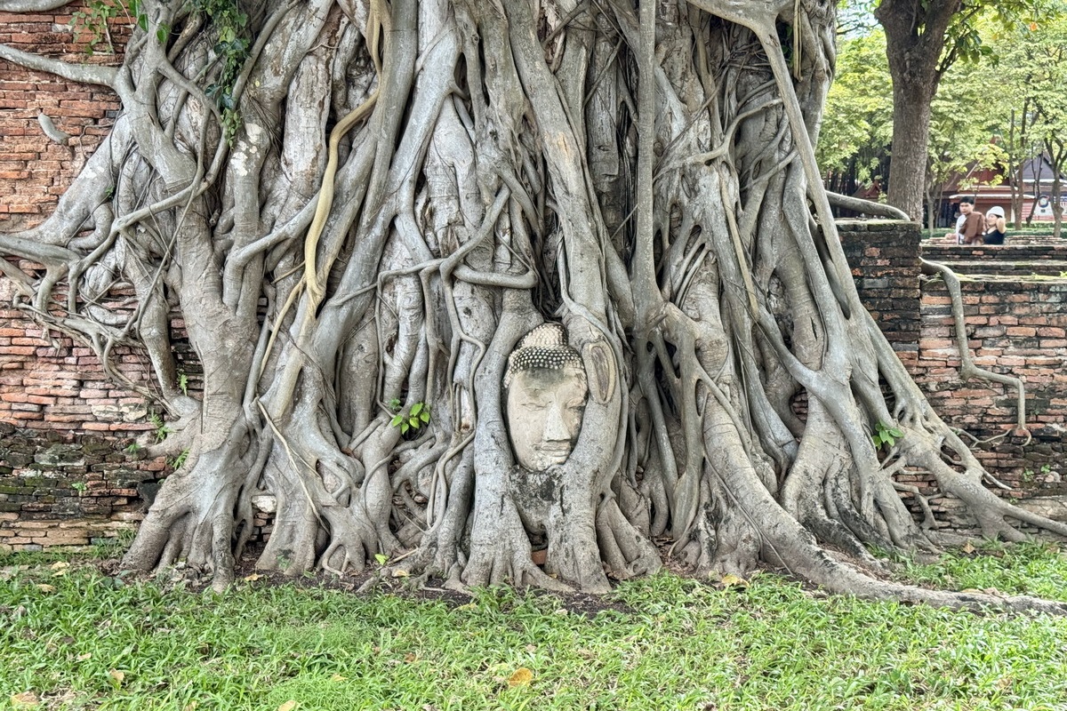 網站近期文章：【泰國旅遊】大城府簡介：阿育陀耶王朝 Ayutthaya（大城王朝）首都遺跡，聯合國世界遺產，曼谷北方100公里的歷史遺跡小鎮（金剛旅行社包車一日遊） 7177