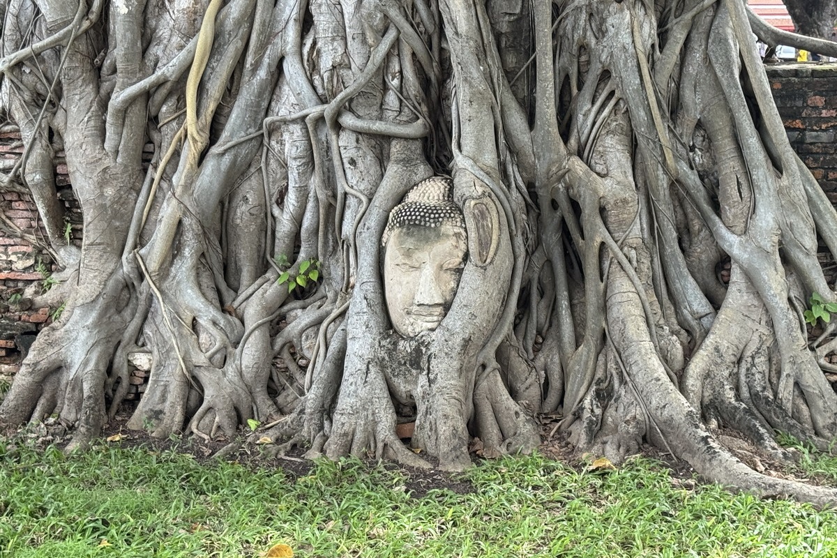 即時熱門文章：【泰國大城府旅遊】瑪哈泰寺 Wat Mahathat：樹中佛頭，Ayuttaya 阿育塔亞大城第一遺跡，觀光客必遊 7176