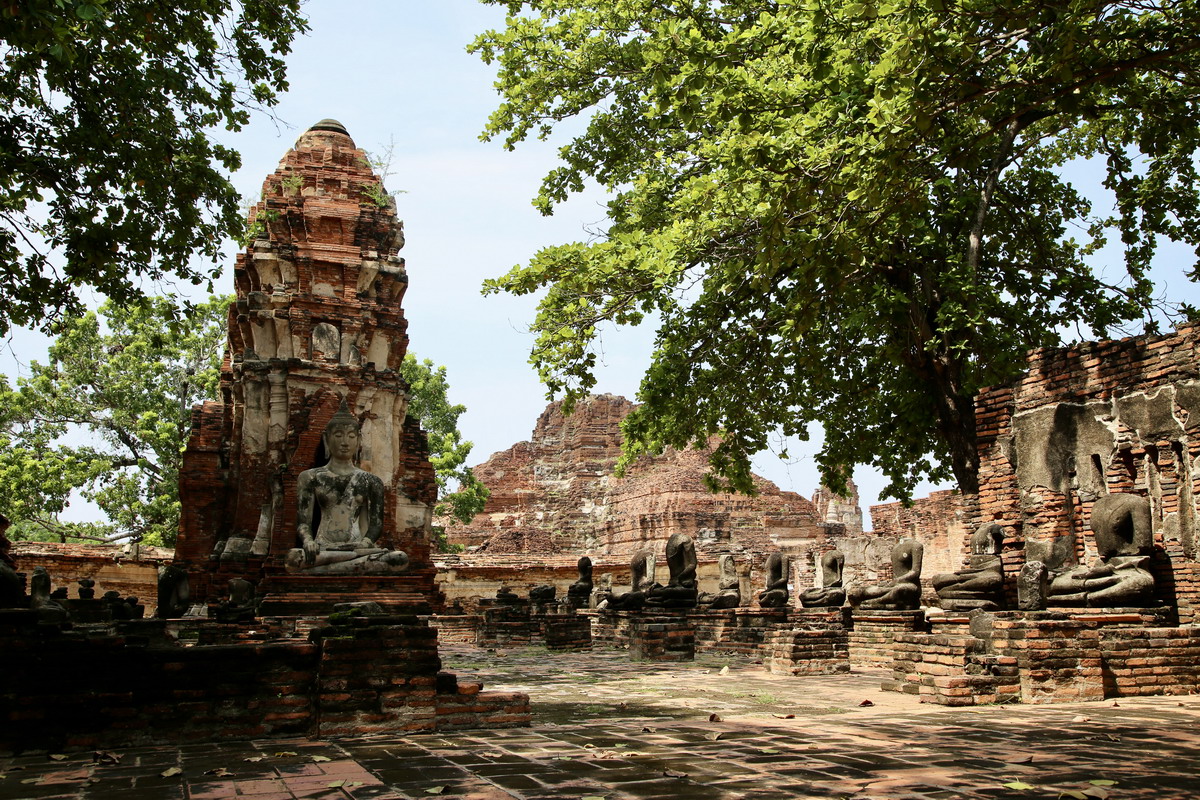 【泰國大城府旅遊】瑪哈泰寺 Wat Mahathat：樹中佛頭，Ayuttaya 阿瑜陀耶大城第一遺跡，觀光客必遊 7176