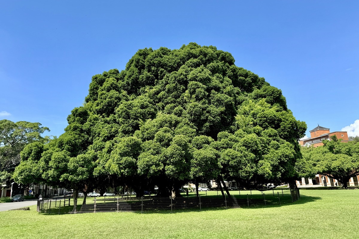 網站近期文章：【台南東區旅遊】成功大學校園古蹟巡禮：榕園、步兵第二聯隊、東門遺跡與小西門樓 6617