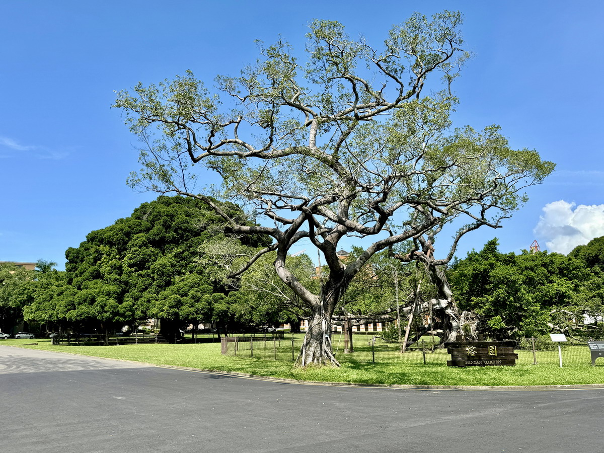 【台南東區旅遊】成功大學校園古蹟巡禮：榕園、步兵第二聯隊、東門遺跡與小西門樓 6617