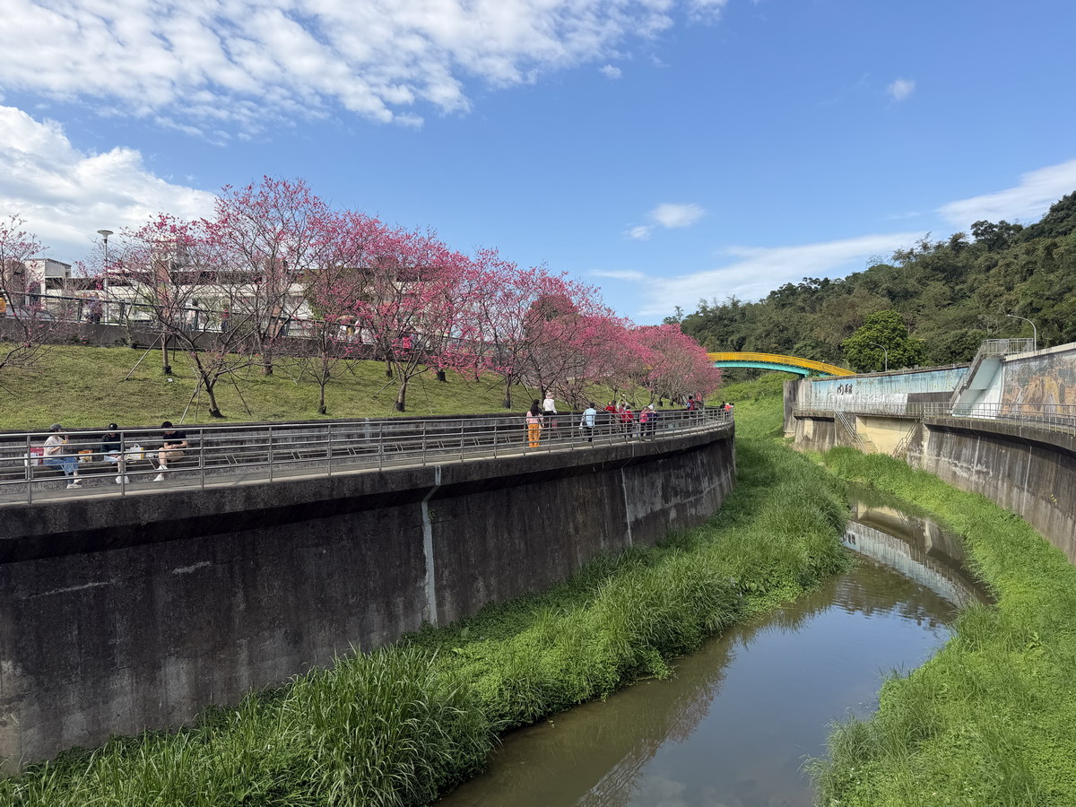 【台北市內湖旅遊】東湖樂活公園賞櫻 2026：寒櫻與八重櫻接力競豔，平地就可以盡情賞櫻，每年春天不要錯過的盛景 7290
