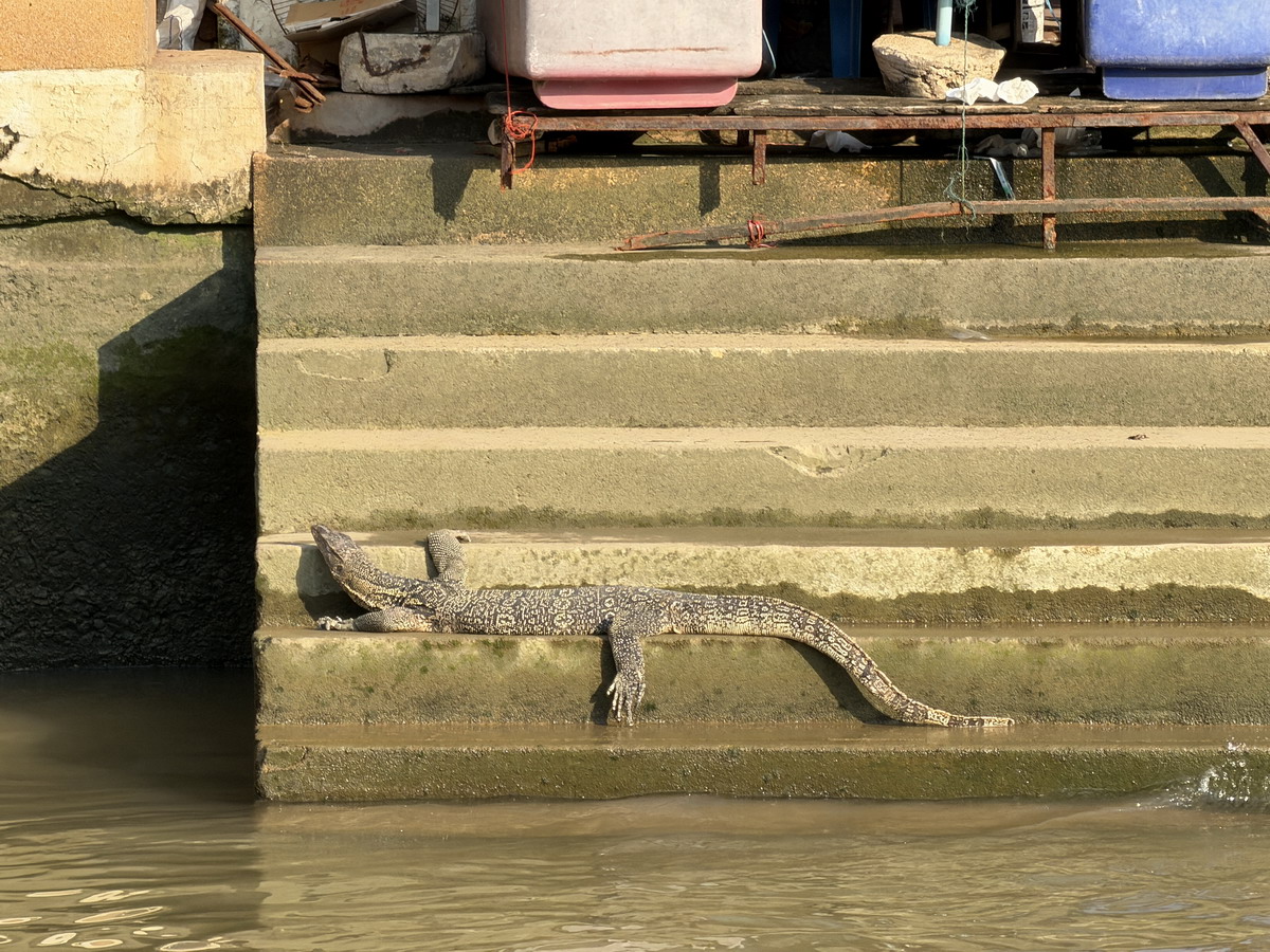 【泰國沙慕頌勘府旅遊】安帕瓦水上市場 Amphawa Floating Market 2026：泰國特色水上市場，悠閒享受河畔風光 7218