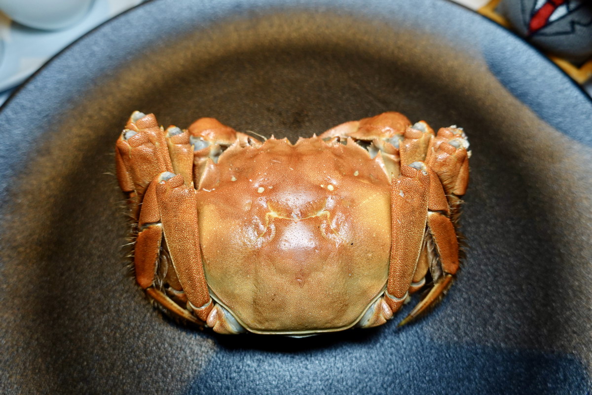 【台北行天宮站美食】台北亞都麗緻飯店天香樓：品嚐大閘蟹全台首選，精彩蟹宴老饕不能錯過，米其林1星實至名歸 6623