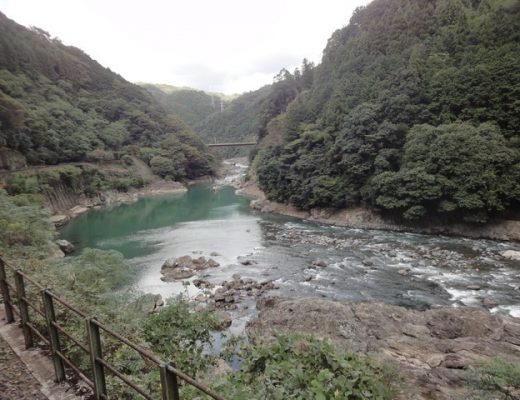 【日本京都旅遊】嵐山嵯峨野浪漫小火車：京都必玩景點 903 @貓大爺