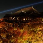 今日熱門文章：【日本京都旅遊】清水寺夜間賞楓：楓紅限定夜間特別拜觀 1299