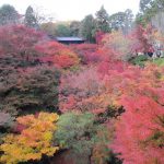 今日熱門文章：【日本京都賞楓】東福寺：賞楓必遊，美不勝收的楓之谷 1301