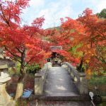 今日熱門文章：【日本京都旅遊】永觀堂禪林寺：京都賞楓必去第一名所 1305