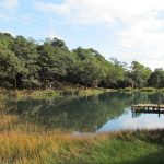 今日熱門文章：【新北汐止旅遊】新山夢湖：台北近郊的夢幻秘境世外桃園 1351