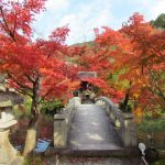 今日熱門文章：【日本旅遊懶人包】貓大爺京都、大阪、神戶旅遊特輯：京都賞楓美不勝收，此生必遊 1461