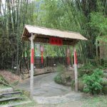 今日熱門文章：【南投竹山旅遊】青竹竹文化園區：竹林大觀園及CAS竹炭製品 1468