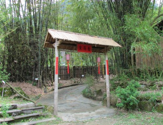【南投竹山旅遊】青竹竹文化園區：竹林大觀園及CAS竹炭製品 1468 @貓大爺