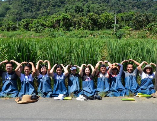 【南投埔里旅遊】南投埔里桃米休閒農業區一日遊：茭白筍與紙教堂 2030 @貓大爺