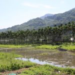 今日熱門文章：【新竹縣竹東旅遊】好客竹縣：鄉間幸福好食光與頤禾園有機農園遊 2386