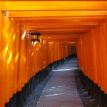 今日熱門文章：【日本京都旅遊】伏見稻荷大社：全日本稻荷神社總社及千本鳥居 2545