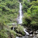 今日熱門文章：【花蓮玉里旅遊】南安瀑布與玉山國家公園瓦拉米步道、山風瀑布 2860