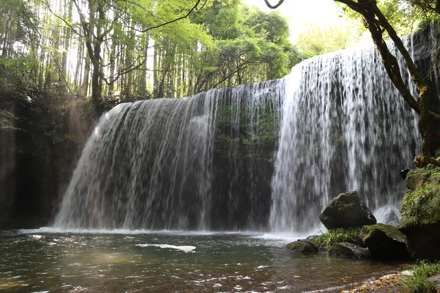 【日本九州熊本旅遊】鍋之瀑布：空靈清幽的美麗森林瀑布 2996 @貓大爺