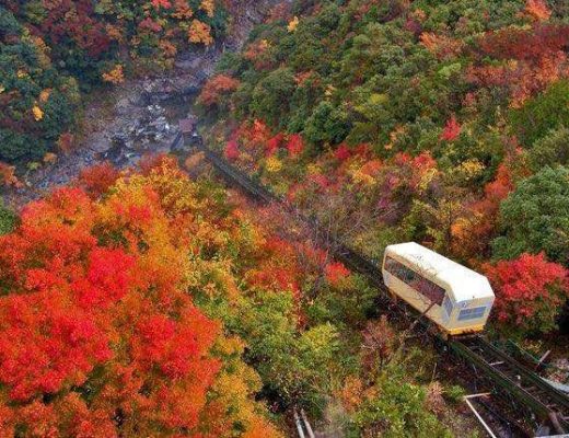 【日本四國德島縣旅遊】和之宿祖谷溫泉旅館：日本三大秘境之一與搭纜車泡溫泉 3091 @貓大爺
