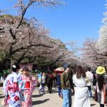 今日熱門文章：【日本東京賞櫻】上野公園：日本第一座公園的櫻花大道 3420