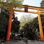 今日熱門文章：【日本川越旅遊】冰川神社：1500年歷史祈求姻緣家庭美滿的神社 3424