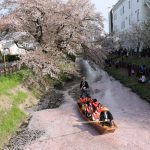 今日熱門文章：【日本川越旅遊】到川越小江戶新河岸川賞櫻花 3426