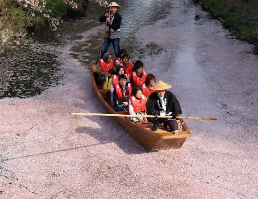 【買機票】WebTicket 旅遊便利網：讓你出國旅遊買到便宜機票（出國便宜機票） 3454 @貓大爺