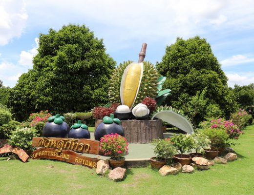 【泰國羅勇府旅遊】素帕他觀光果園 Suphattra Land：泰國東部最大農園與水果吃到飽 3592 @貓大爺