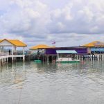 今日熱門文章：【泰國莊他武里府旅遊】海洋生態復育示範基地 Sea Farming Demonstration Unit：育教於樂的生態旅遊