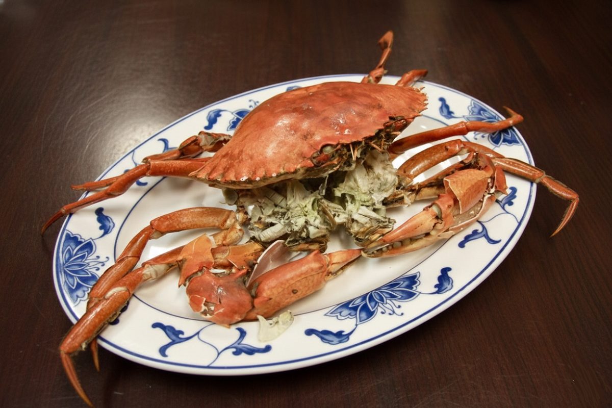 即時熱門文章：【台北大安站美食】田園台菜海鮮：珍重再見！東豐街40年台南味老店熄燈，螃蟹、蝦餅、五香排骨都是必點菜，還有親切的人情味 5214 (停業)