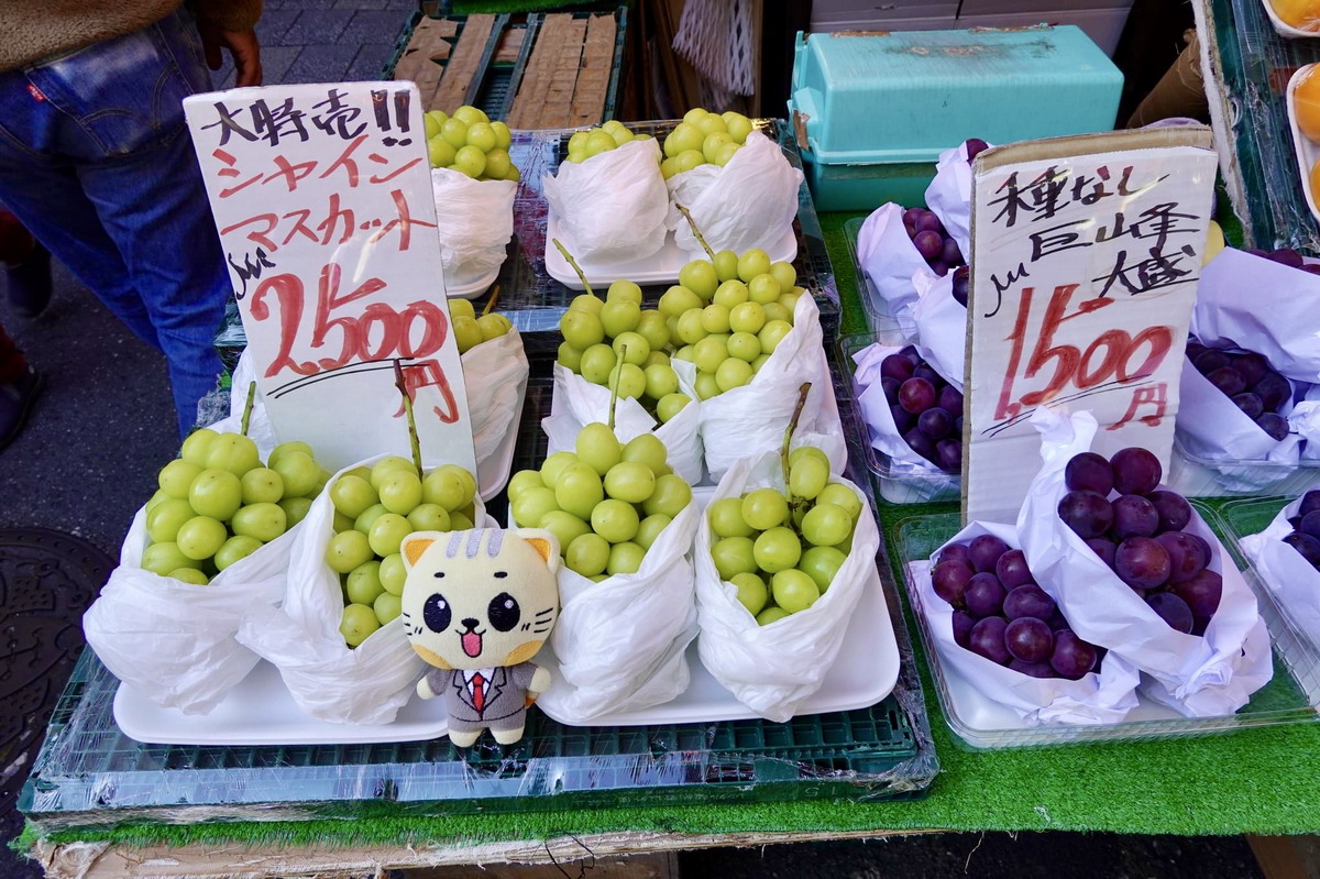 【日本東京上野旅遊】阿美橫丁 Ameyoko：東京必逛觀光商店街，庶民平價購物區，日常生活用品、藥庄、服飾、漁市場、水果、平價小吃、居酒屋 5325