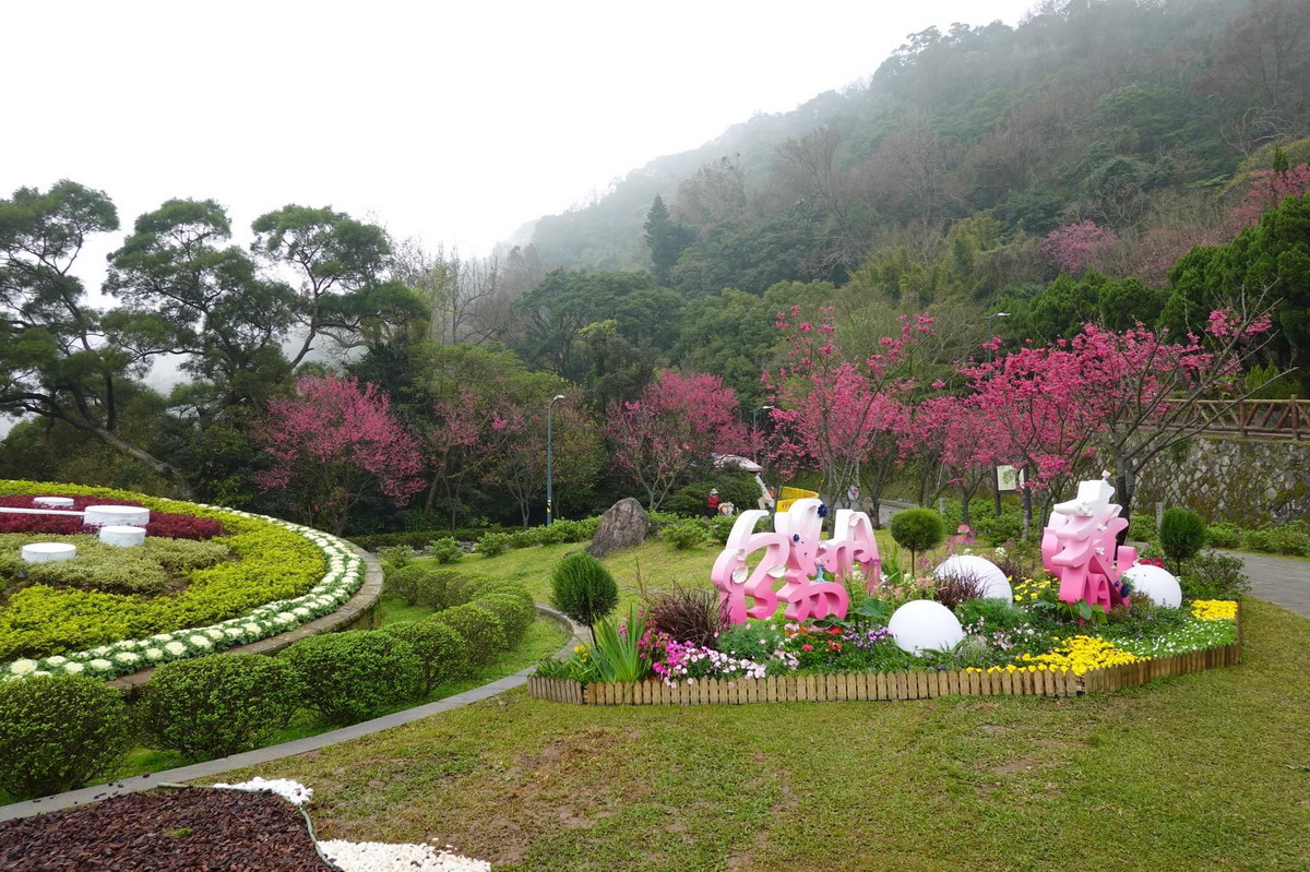 【台北陽明山旅遊】陽明山賞櫻加藍寶石泉秘境一日遊：陽明山櫻花季+中山樓導覽+藍寶石泉秘境，專車輕鬆上陽明山還可以選擇入住五星級酒店 5519