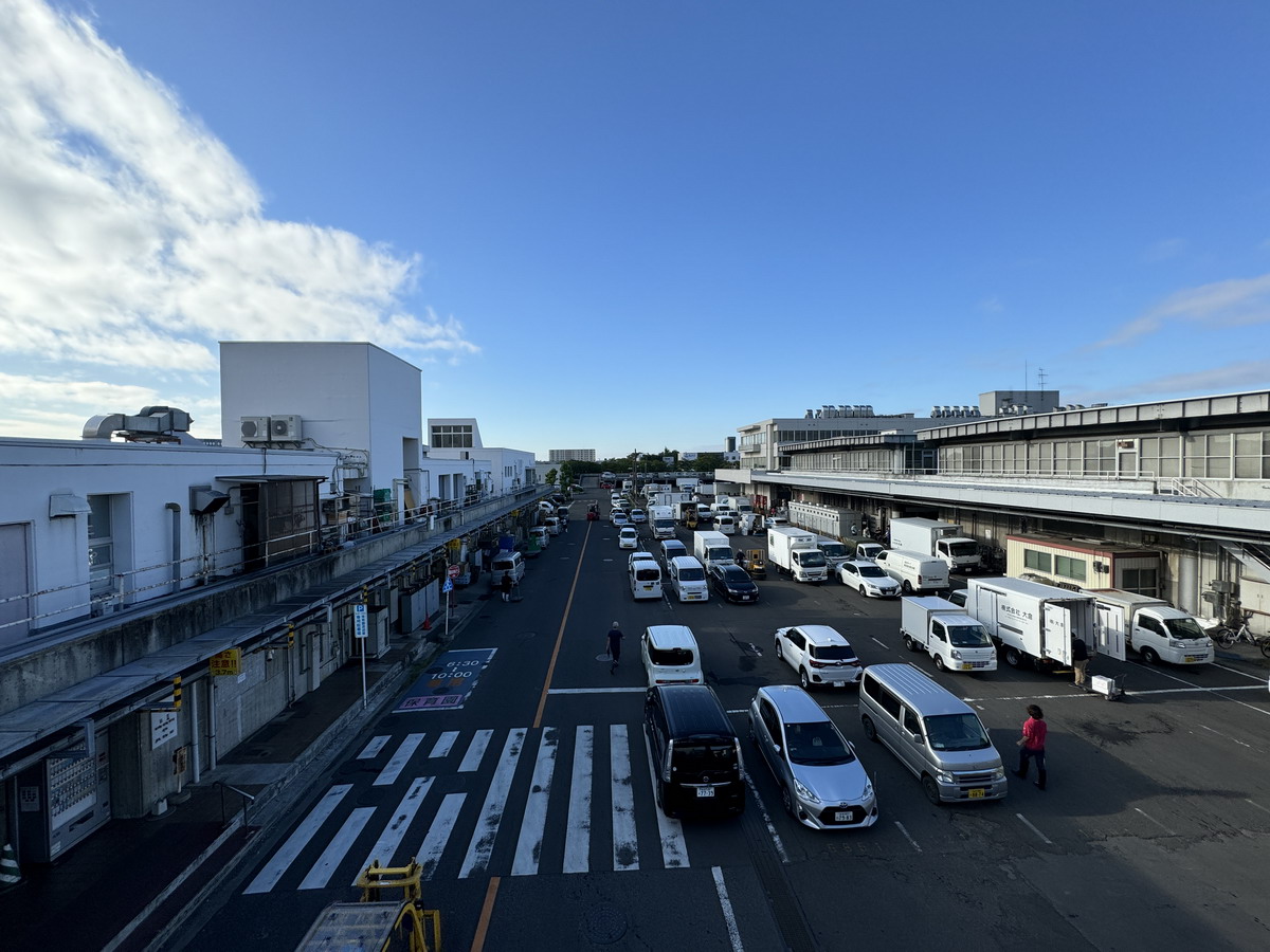 【日本宮城縣仙台旅遊】仙台中央批發市場見學 2024：黑鮪魚競標拍賣真是太酷了！日本東北漁貨及蔬果運銷中心，黑鮪魚拍賣及漁市場、青果市場見學 6514