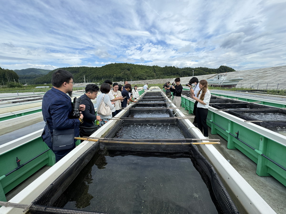 【日本宮城縣仙台旅遊】宮城縣農畜水產集錦 2024：山川壯麗、物產豐隆，日本和牛、牡蠣、黑鮪魚、海膽、水果、銅鑼燒、紫地瓜、清酒樣樣有 6522