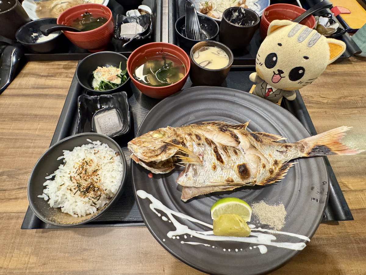 【台北行天宮站美食】小六食堂 2025：美味烤鮮魚+生魚片雙拼定食，離緣肉炸豬排吃過回不去，晚餐無菜單日本料理太划算！7104