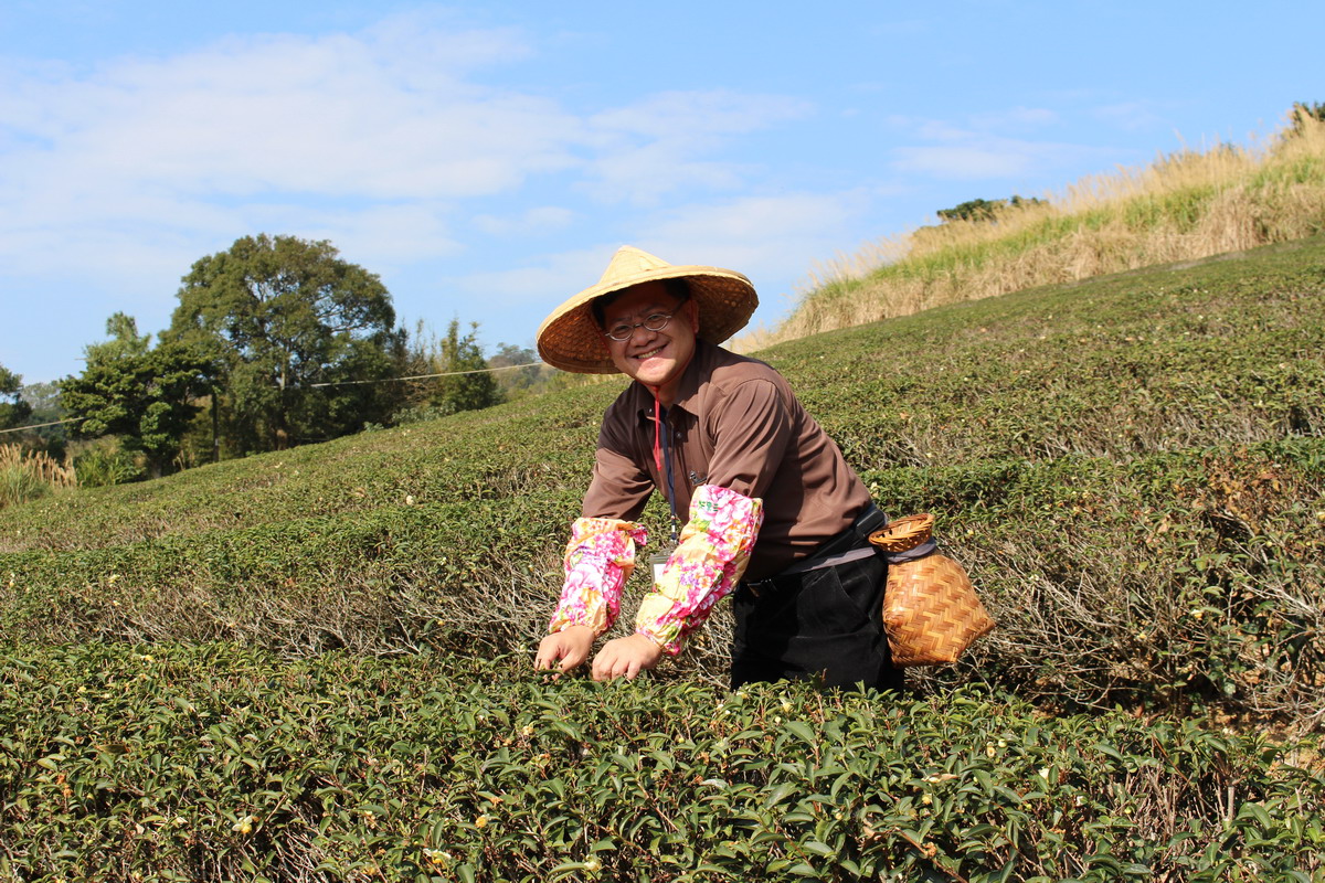 網站近期文章：【桃園龍潭旅遊】臺灣客家茶文化館：茶讓世界看見臺灣，客家茶文化是先民的汗水與智慧結晶，國家級展覽館還有客茶樓客家茶餐以及六國風味下午茶