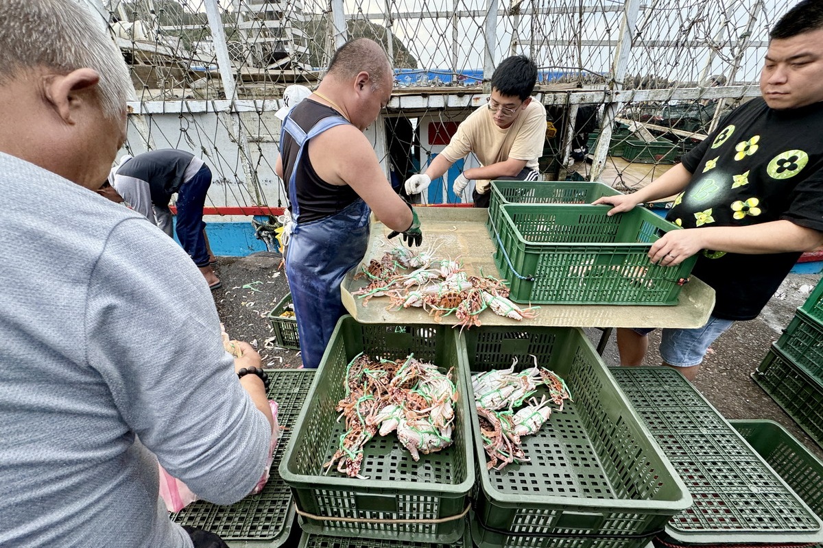 【新北萬里美食】新小微漁坊海鮮餐廳：萬里蟹自由！自家漁船滿載新鮮漁貨，美味好吃經濟實惠，龜吼漁港海產店人氣首選 6636