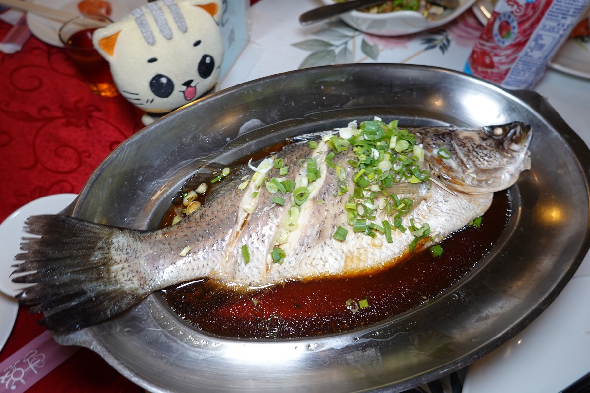 【臺南旅遊】臺南永續旅遊 2025：虎頭碑風景區成為全臺第一件取得國際黃金標準碳註銷證明的遊程，還有十鼓文創園區、關子嶺溫泉，三條精選低碳路線讓你暢遊環保的臺南！臺南永續觀光大躍進，與全球永續旅遊市場及企業ESG接軌