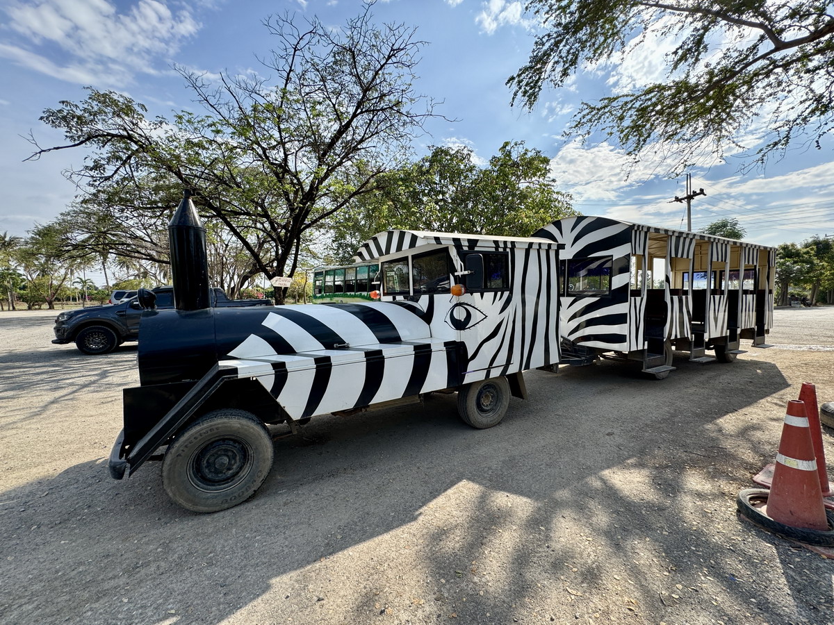 【泰國北碧府旅遊】北碧府野生動物園 2025：與長頸鹿親密合影，遊園車載你去看獅子、老虎、鱷魚、大象，適合親子旅遊 6849