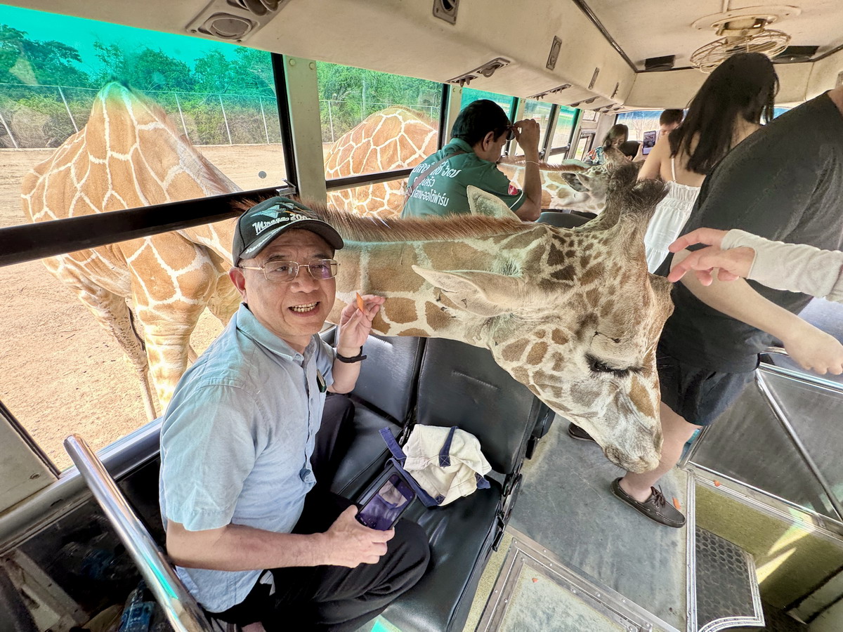 【泰國北碧府旅遊】北碧府野生動物園 2025：與長頸鹿親密合影，遊園車載你去看獅子、老虎、鱷魚、大象，適合親子旅遊 6849