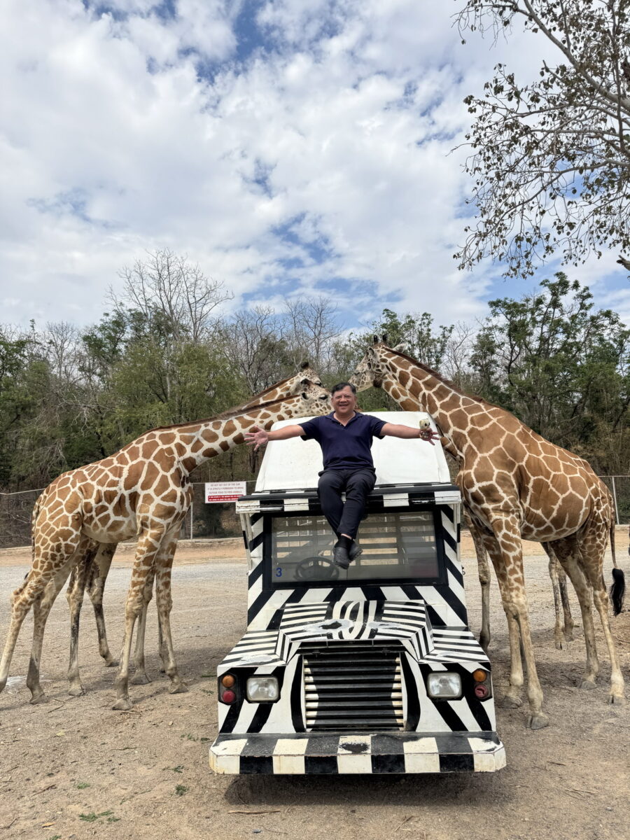 【泰國北碧府旅遊】北碧府野生動物園 2025：與長頸鹿親密合影，遊園車載你去看獅子、老虎、鱷魚、大象，適合親子旅遊 6849