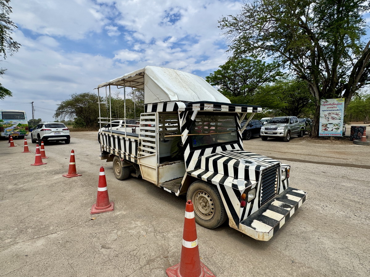 【泰國北碧府旅遊】北碧府野生動物園 2025：與長頸鹿親密合影，遊園車載你去看獅子、老虎、鱷魚、大象，適合親子旅遊 6849