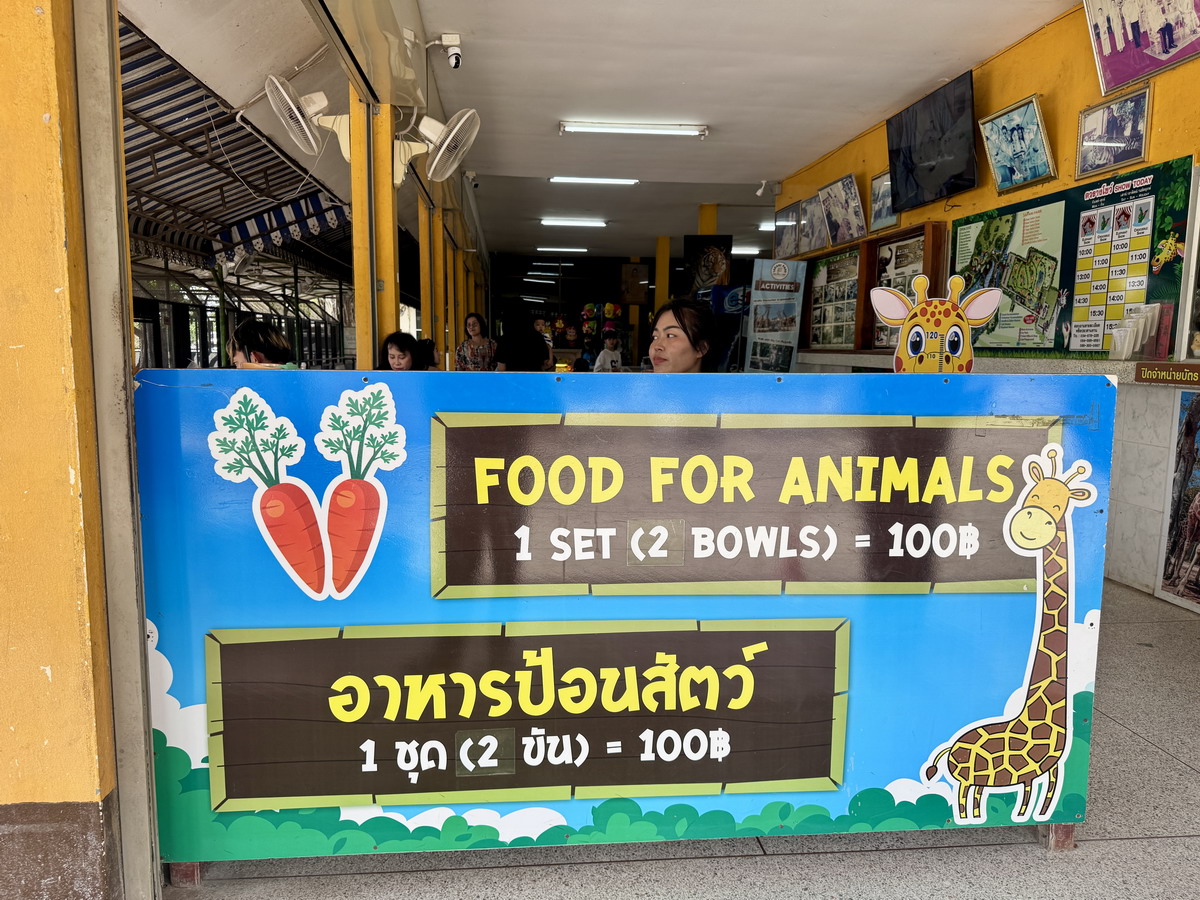 【泰國北碧府旅遊】北碧府野生動物園 2025：與長頸鹿親密合影，遊園車載你去看獅子、老虎、鱷魚、大象，適合親子旅遊 6849