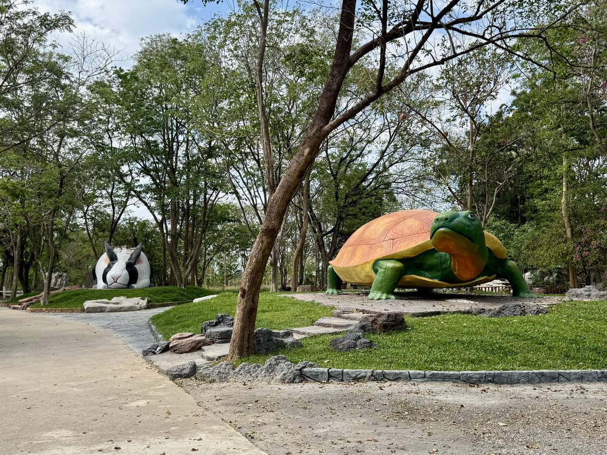 【泰國北碧府旅遊】北碧府野生動物園 2025：與長頸鹿親密合影，遊園車載你去看獅子、老虎、鱷魚、大象，適合親子旅遊 6849