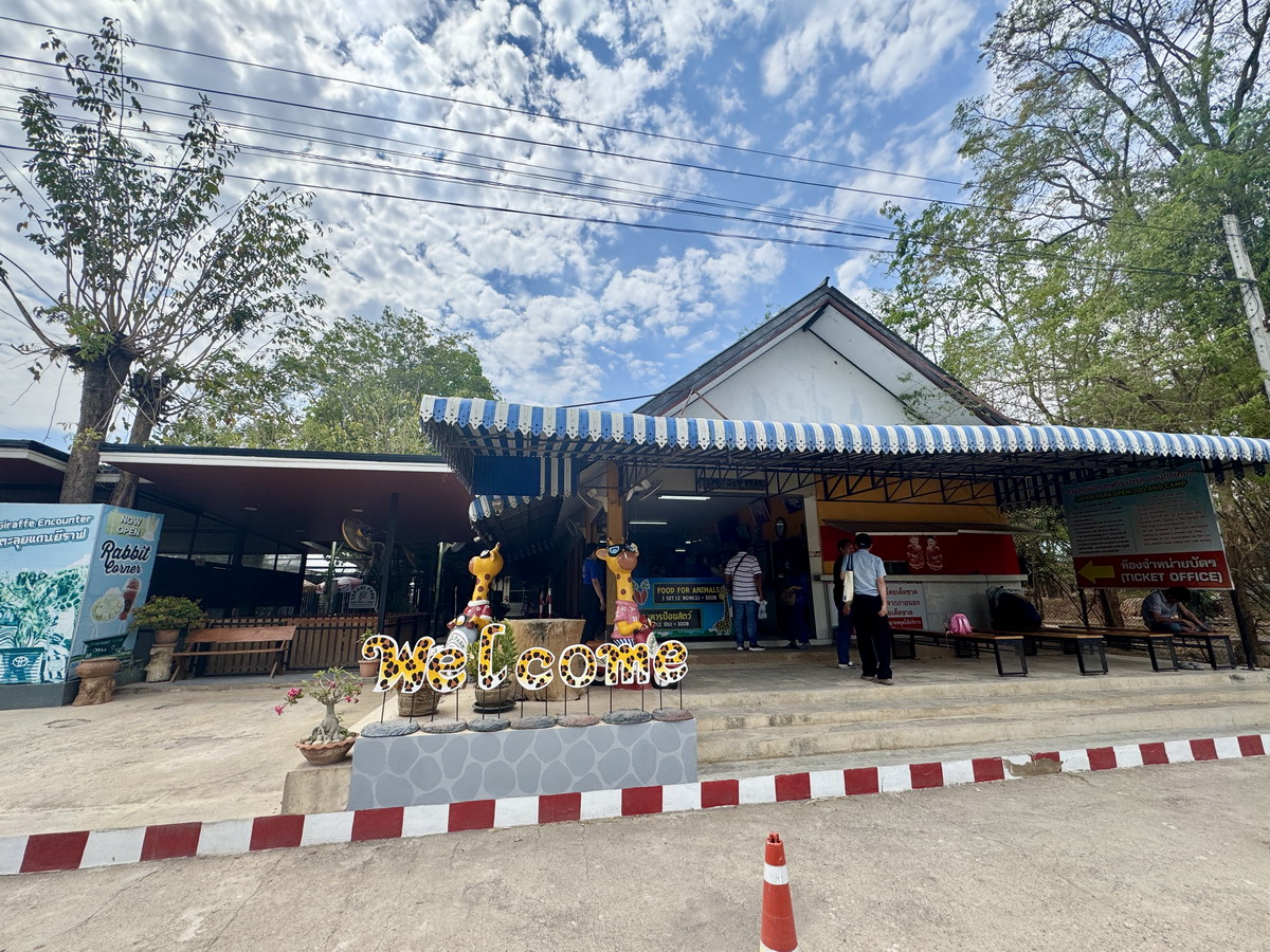 【泰國北碧府旅遊】北碧府野生動物園 2025：與長頸鹿親密合影，遊園車載你去看獅子、老虎、鱷魚、大象，適合親子旅遊 6849