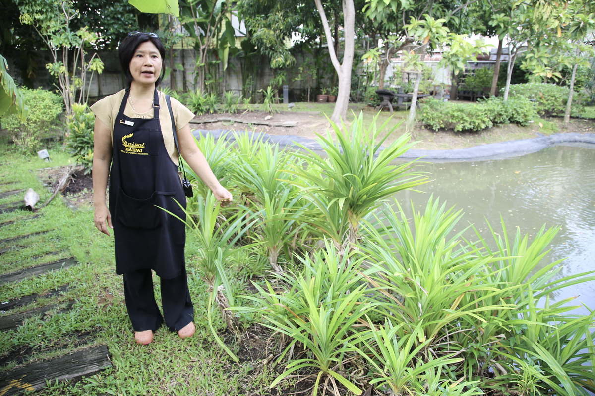 【泰國曼谷旅遊】BaiPai Cooking Schol 廚藝教室:在優美莊園學做泰國菜,零廚藝也可以參加的有趣旅遊行程,帶你認識泰國食材,手把手教你做泰國菜 6945 【泰國曼谷旅遊】BaiPai Cooking Schol 廚藝教室:在優美莊園學做泰國菜,零廚藝也可以參加的有趣旅遊行程,帶你認識泰國食材,手把手教你做泰國菜 6945