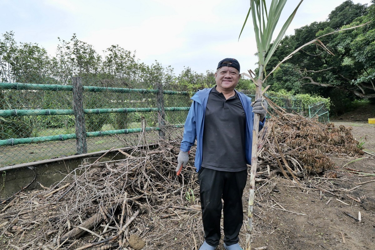 網站近期文章：【新竹旅遊】新竹金牌農村-風城新糖2025：寶山鄉的黑糖文化記憶，甜在土地裡的永續食農之旅，遊客親自DIY黑糖珍珠粉圓，適合全家親子同遊  