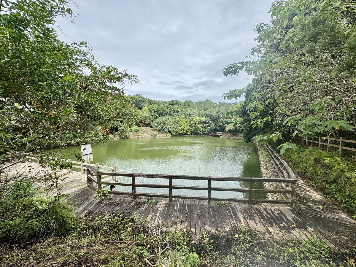 【新竹旅遊】新竹金牌農村-風城新糖2025:寶山鄉的黑糖文化記憶,甜在土地裡的永續食農之旅,遊客親自DIY黑糖珍珠粉圓,適合全家親子同遊   【新竹旅遊】新竹金牌農村-風城新糖2025:寶山鄉的黑糖文化記憶,甜在土地裡的永續食農之旅,遊客親自DIY黑糖珍珠粉圓,適合全家親子同遊